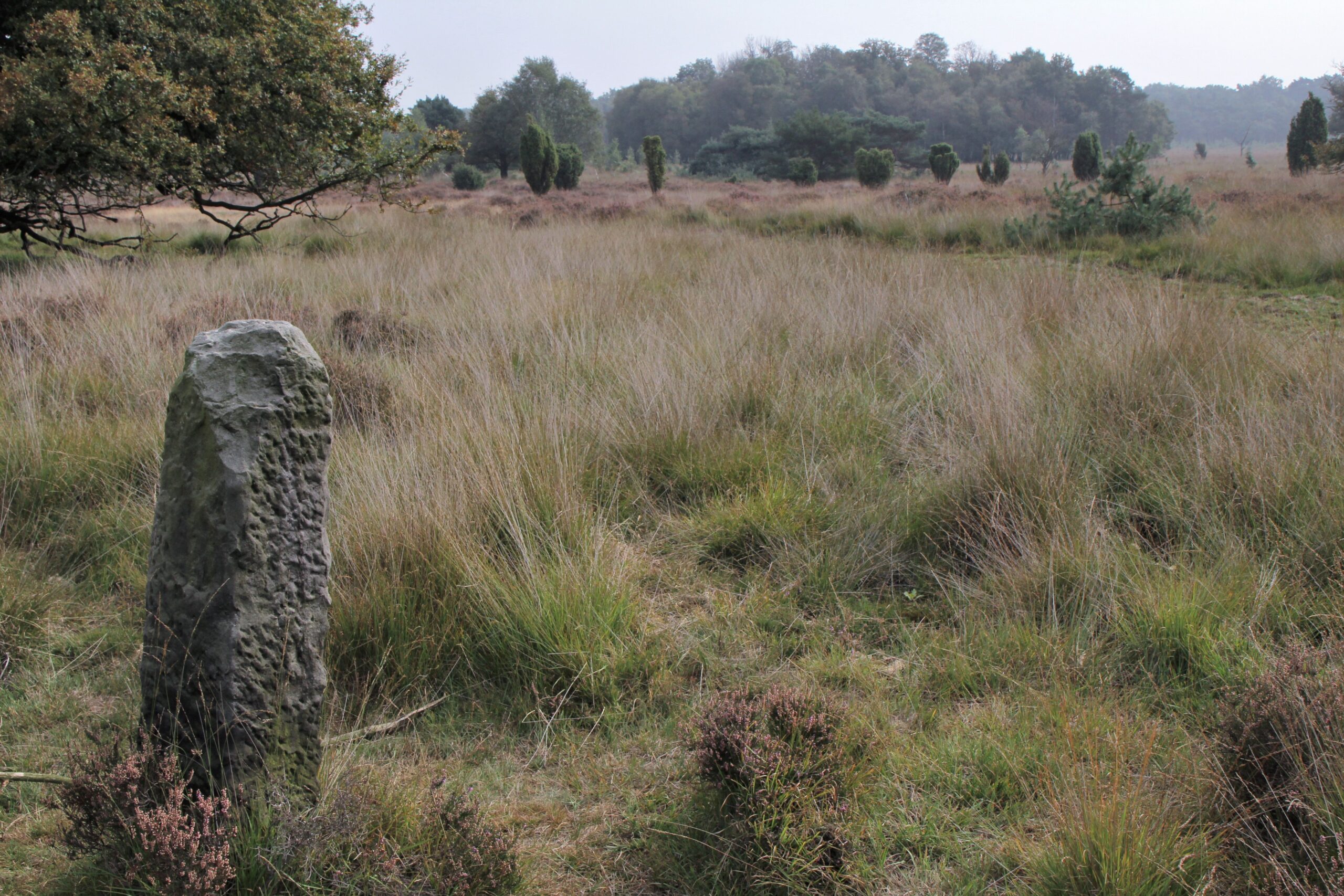 Buurserzand Bmorsinkhof (1)