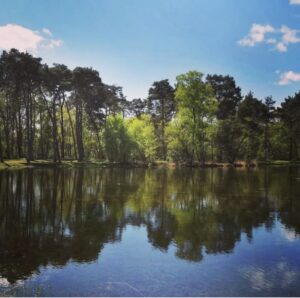 Natuur In Buurse Buursermeertje Instagram Mathildelint