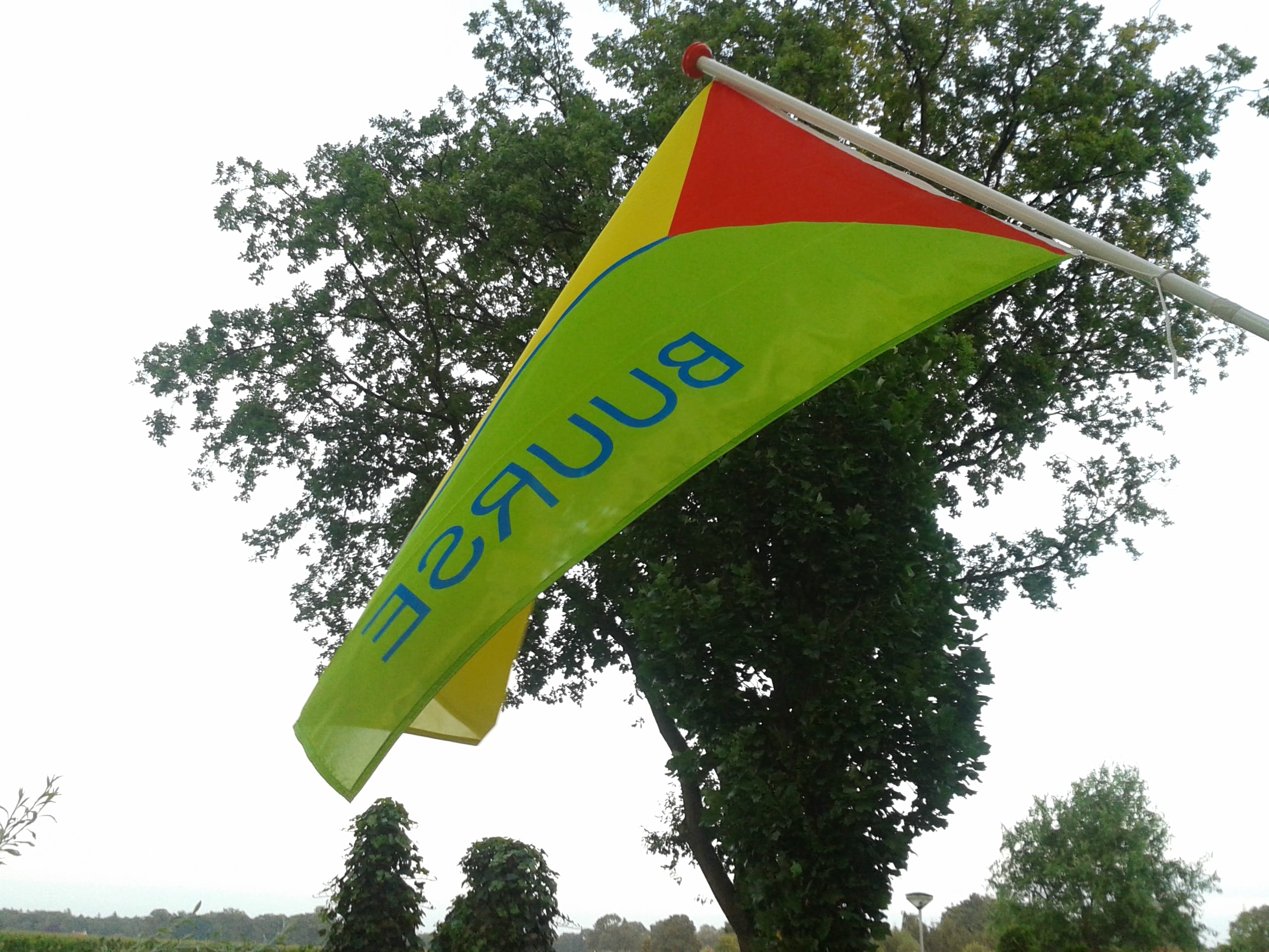 Vlag Buurse