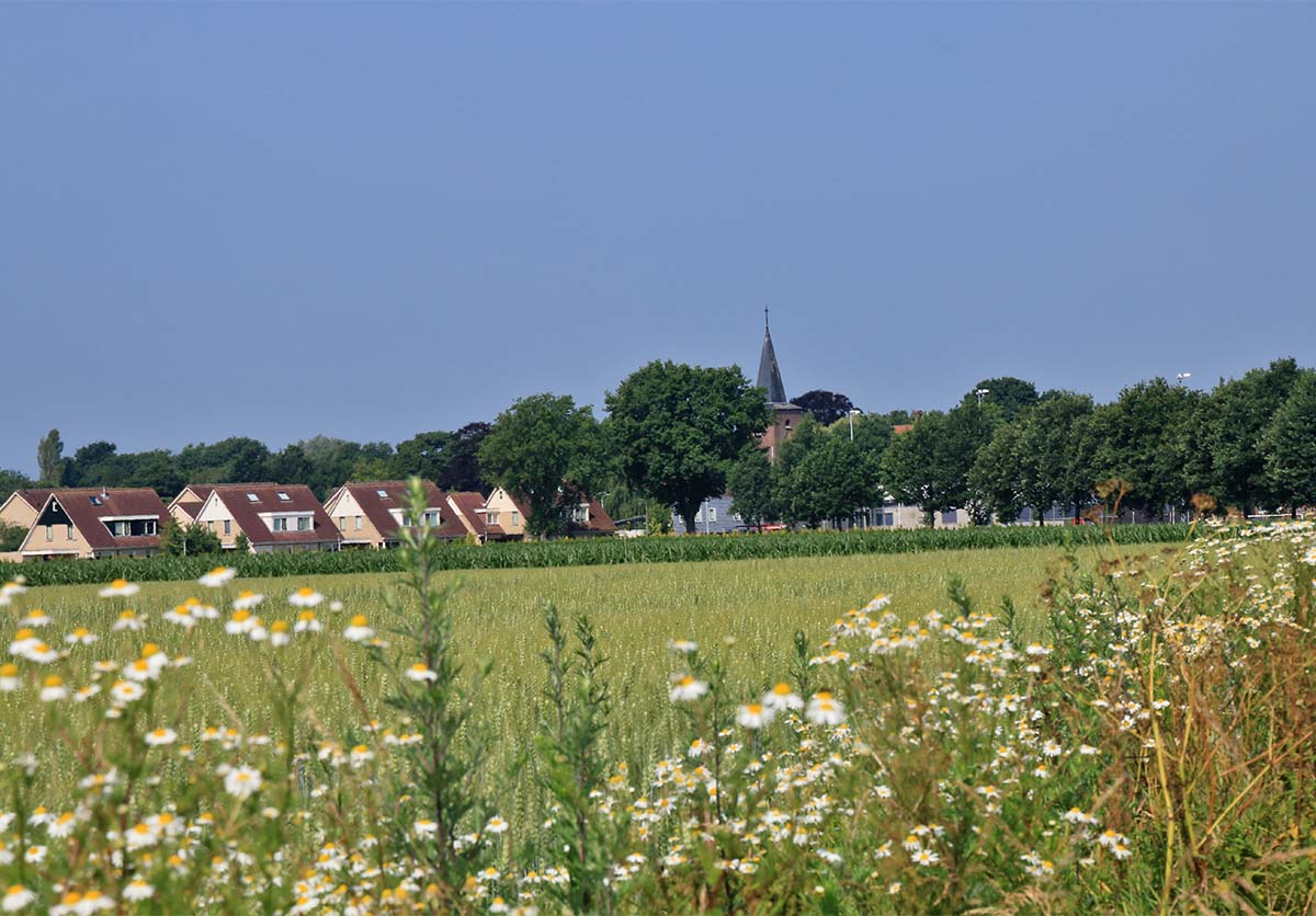 Agenda Buurse(achtergrond Foto)(lr)