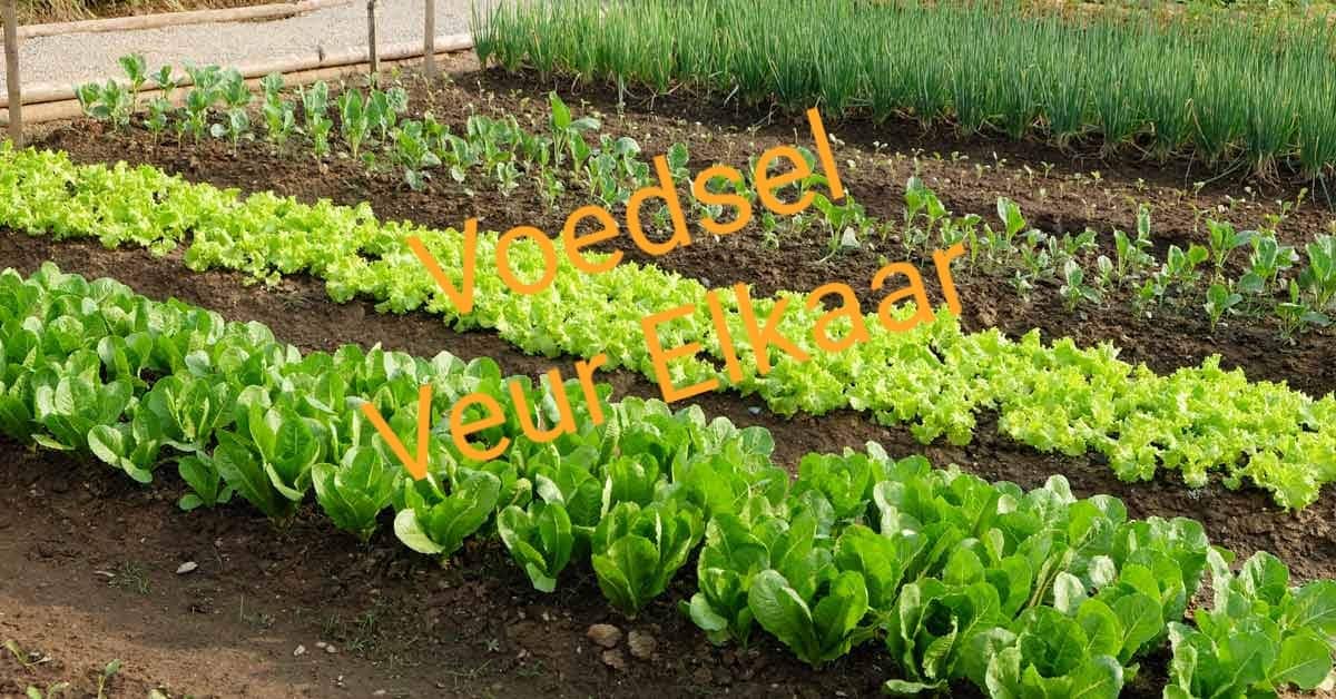 Voedsel Veur Elkaar Buurse