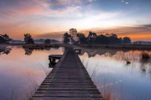 Buursezand-wandelen-vlonderpaden-Buurse-Haaksbergen-Twente